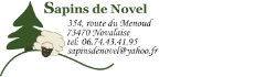 Banner sapin de Novel